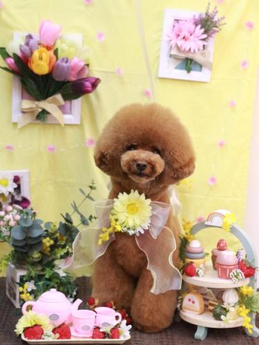 20230323こじろうくん